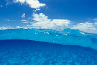 sky and underwater