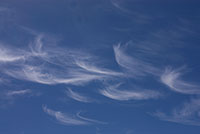 cirrus clouds