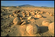 Concretions of Anza Borrego